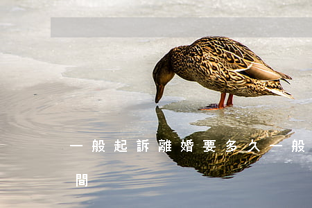 一般起訴離婚要多久(一般起訴離婚要多久時間)
