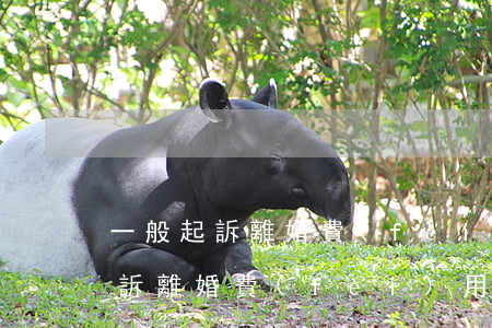 一般起訴離婚費(fèi)用要多少(一般起訴離婚費(fèi)用要多少)