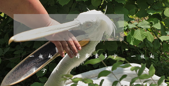 一般起訴離婚需要多少錢(一般起訴離婚需要多少錢?)