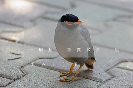 一般起訴需要多少錢(起訴一般需要多少費(fèi)用)