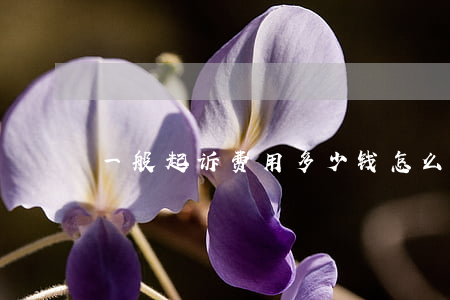 一般起诉费用多少钱怎么计算(诉讼费怎么算)
