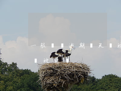 一般車貸逾期幾天會被起訴(車貸逾期多久才會被起訴)