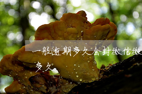 一般逾期多久会封微信 微信上短期封号要封多久