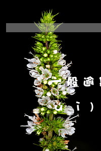 一般逾期多久才能起訴-逾期多少天會(huì)起訴