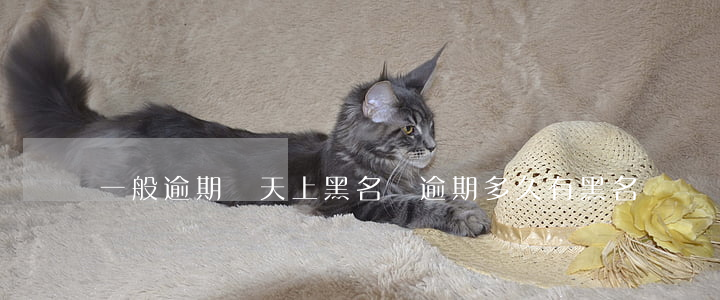 一般逾期幾天上黑名單(逾期多久有黑名單)