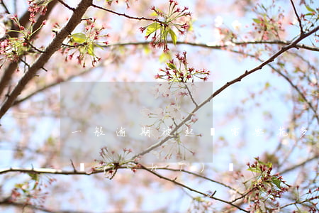 一般逾期被起訴需要花多長(zhǎng)時(shí)間-
