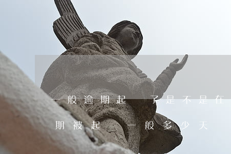 一般逾期起訴了是不是在當地的法院開庭（逾期被起訴一般多少天開庭）