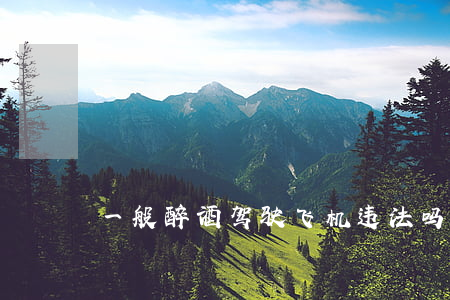 一般醉酒驾驶飞机违法吗（醉酒驾驶处理方法）