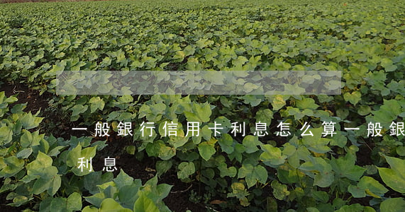 一般銀行信用卡利息怎么算（一般銀行信用卡利息）