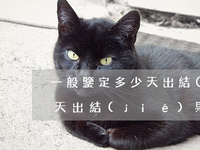 一般鑒定多少天出結(jié)果(鑒定書幾天出結(jié)果)