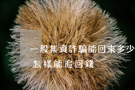 一般集資詐騙能回來多少錢(非法集資被騙了怎樣能追回錢)
