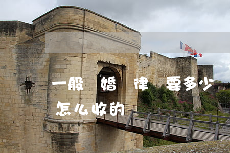 一般離婚請律師要多少錢(離婚律師費用一般怎么收的)
