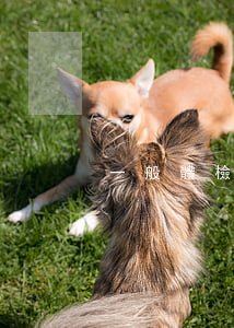 一般體檢費(fèi)用多少錢