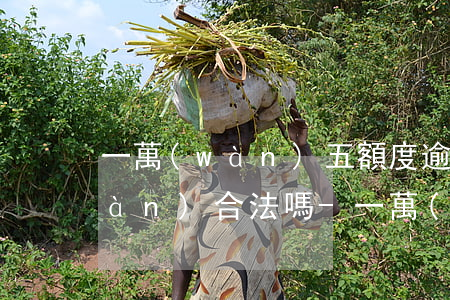 一萬(wàn)五額度逾期三年還3萬(wàn)合法嗎-一萬(wàn)五額度逾期三年還3萬(wàn)合法嗎知乎