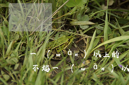 一萬(wàn)以上的網(wǎng)貸還不起 一萬(wàn)以上的網(wǎng)貸還不起