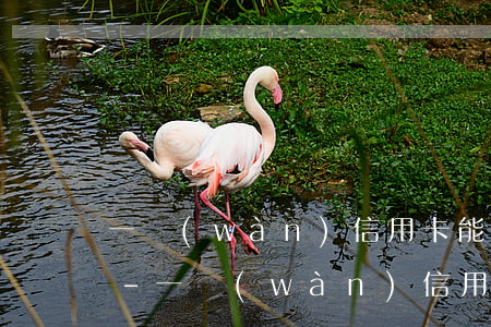 一萬(wàn)信用卡能協(xié)商嗎-一萬(wàn)信用卡能協(xié)商嗎還款