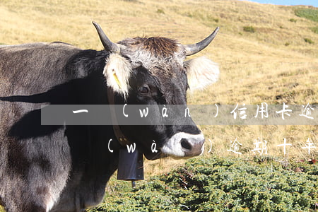 一萬(wàn)信用卡逾期十年(欠信用卡一萬(wàn)逾期十年)