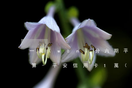 一萬(wàn)分六期平安信用卡利息怎么算-平安信用卡1萬(wàn)分6期每月還多少