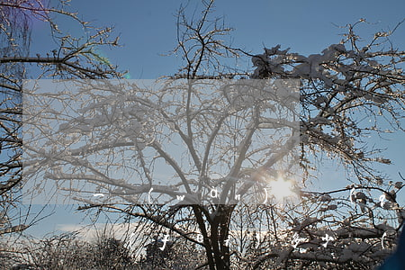 一萬(wàn)塊錢(qián)欠條律師費(fèi)多少錢(qián)(欠條律師收費(fèi)標(biāo)準(zhǔn))