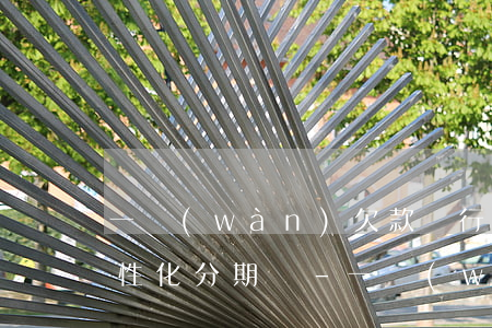 一萬(wàn)欠款銀行能辦理個(gè)性化分期嗎-一萬(wàn)欠款銀行能辦理個(gè)性化分期嗎