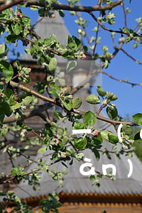 一萬(wàn)的信用卡逾期兩年(一萬(wàn)的信用卡逾期三年會(huì)怎樣)