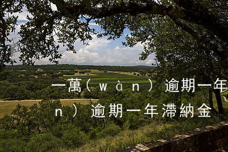 一萬(wàn)逾期一年滯納金(一萬(wàn)逾期一年滯納金)