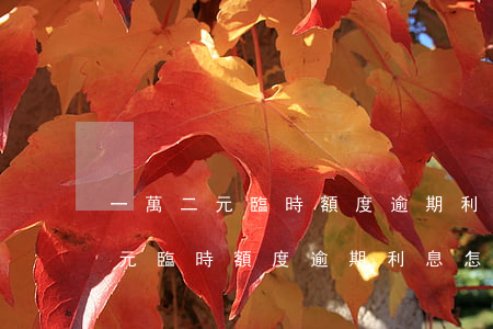 一萬二元臨時額度逾期利息怎么算-一萬二元臨時額度逾期利息怎么算的