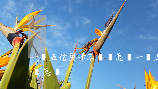 一萬五信用卡不還會怎樣(一萬五信用卡不還會怎樣)