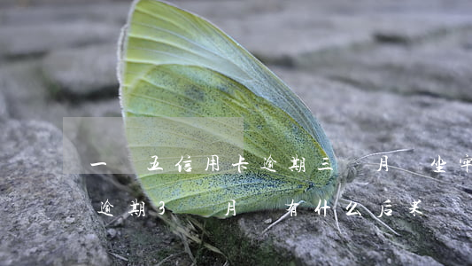一萬五信用卡逾期三個月會坐牢(信用卡5千逾期3個月會有什么后果?)