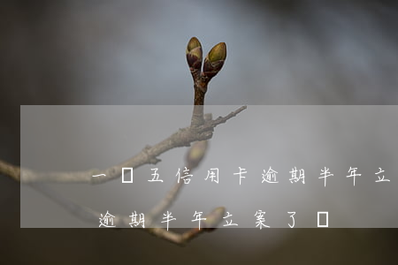 一萬五信用卡逾期半年立案了(一萬五信用卡逾期半年立案了嗎)