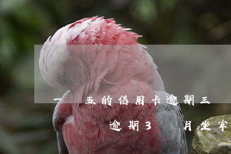 一萬五的信用卡逾期三個月后果-信用卡1萬塊錢逾期3個月坐牢嗎
