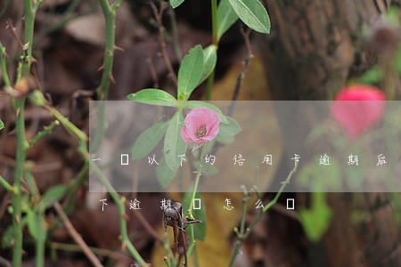 一萬以下的信用卡逾期后果-信用卡1萬以下逾期會怎么樣