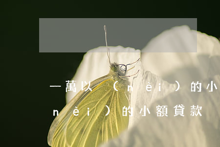 一萬以內(nèi)的小額貸款(一萬以內(nèi)的小額貸款)