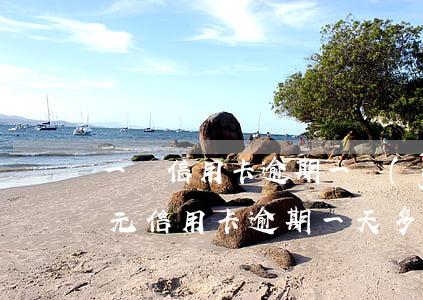 一萬信用卡逾期一個(gè)月多少錢(一萬元信用卡逾期一天多少錢)
