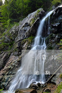 一萬信用卡逾期一天利息是多少（一萬信用卡逾期）