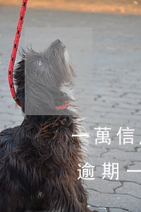 一萬信用卡逾期一年多少利息 一萬的信用卡逾期一年利息多少