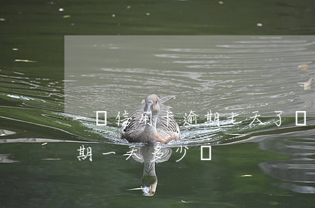 一萬信用卡逾期七天了沒事吧(1萬信用卡逾期一天多少錢)