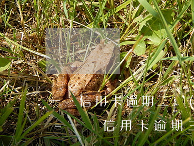 一萬信用卡逾期三個(gè)月有什么后果-一萬信用卡逾期三個(gè)月有什么后果嗎