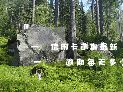 一萬信用卡逾期最新規(guī)定(信用卡一萬塊逾期每天多少)