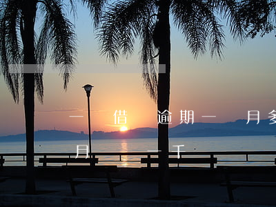 一萬借唄逾期一個月多少錢(借唄逾期了每個月還個一千)