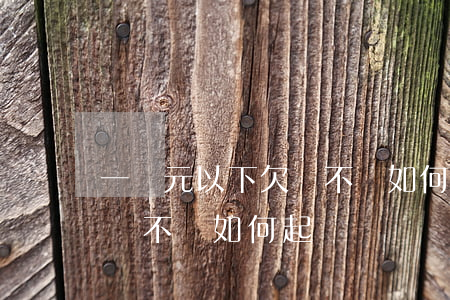 一萬元以下欠錢不還如何起訴(一萬元以下欠錢不還如何起訴)