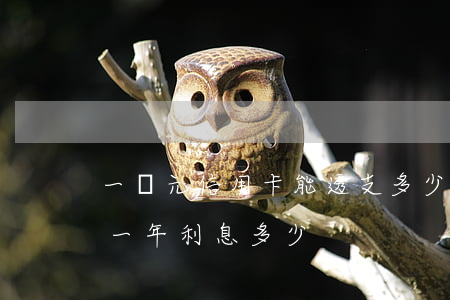 一萬元信用卡能透支多少年(透支信用卡1萬一年利息多少)