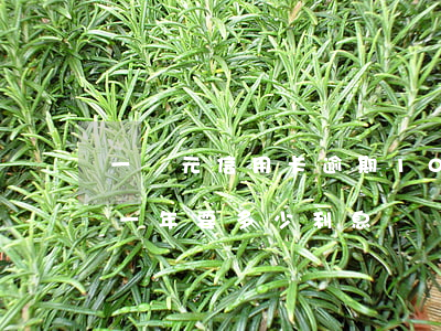 一萬元信用卡逾期10天(十萬元信用卡逾期一年要多少利息)