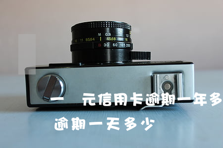 一萬元信用卡逾期一年多少錢（信用卡欠一萬逾期一天多少錢）