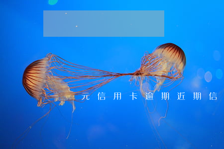 一萬元信用卡逾期（近期信用卡逾期一萬）