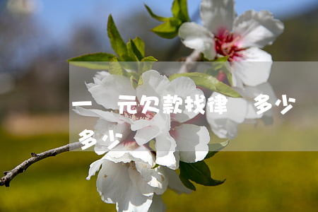 一萬元欠款找律師多少錢(兩萬元欠款找律師多少)