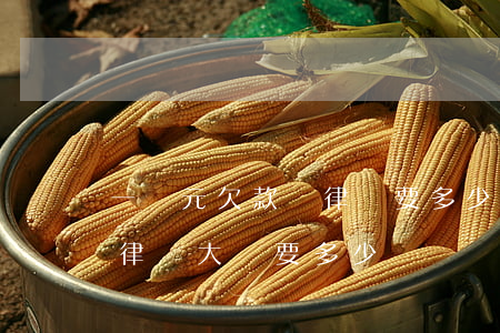 一萬元欠款請律師要多少錢(欠錢不還請一個律師大約要多少錢)