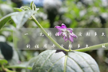 一萬元的信用卡逾期多久會被起訴-一萬元的信用卡逾期多久會被起訴呢