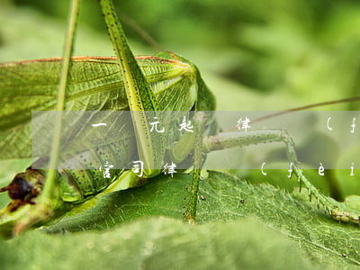 一萬元起訴律師費(fèi)多少(一萬元的官司律師費(fèi)多少)