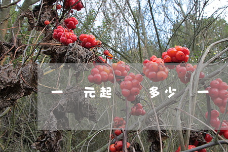 一萬元起訴費多少錢(一萬多訴訟費多少錢)